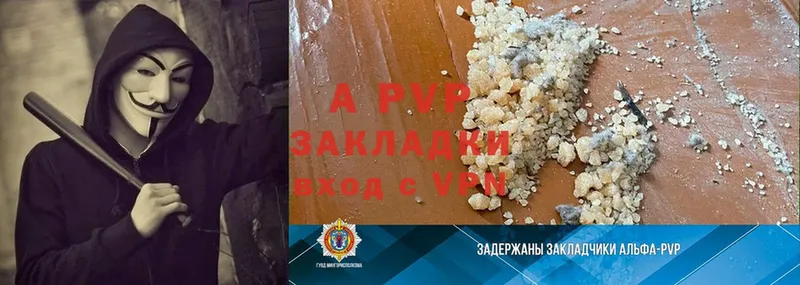 A PVP СК КРИС  Великий Новгород 